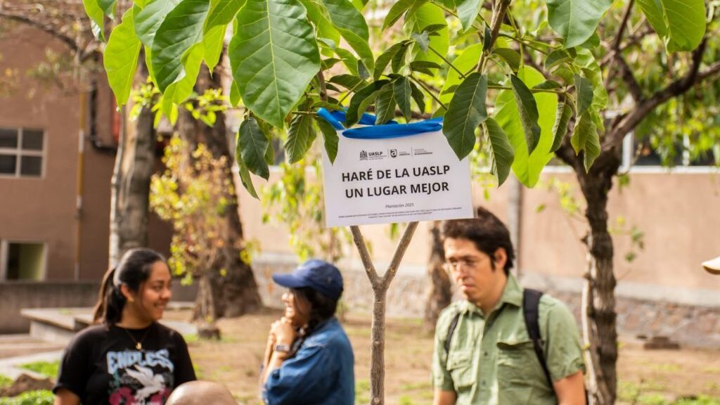 UASLP refuerza su compromiso ambiental con jornada de reforestación en Zona Universitaria Poniente