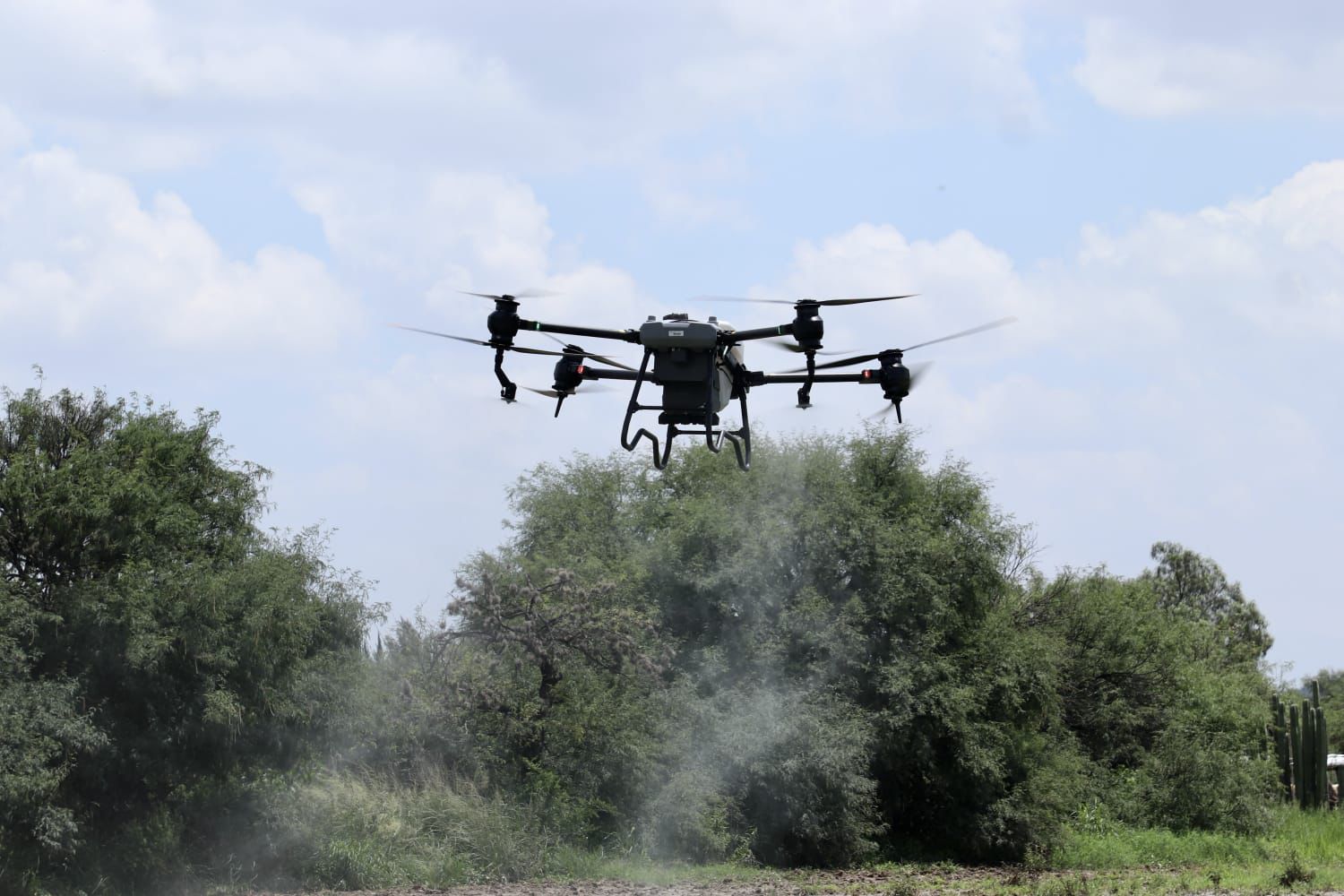 San Luis Capital protege sus bosques: fumigación con dron combate hongo que afecta pinos en Escalerillas